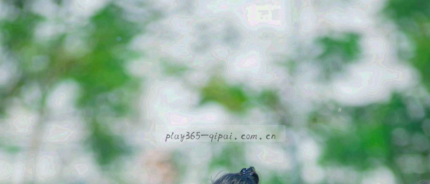 牌面切角与等宽条款编号叠印的暗底抽象纹理，细线勾勒，霓虹微光